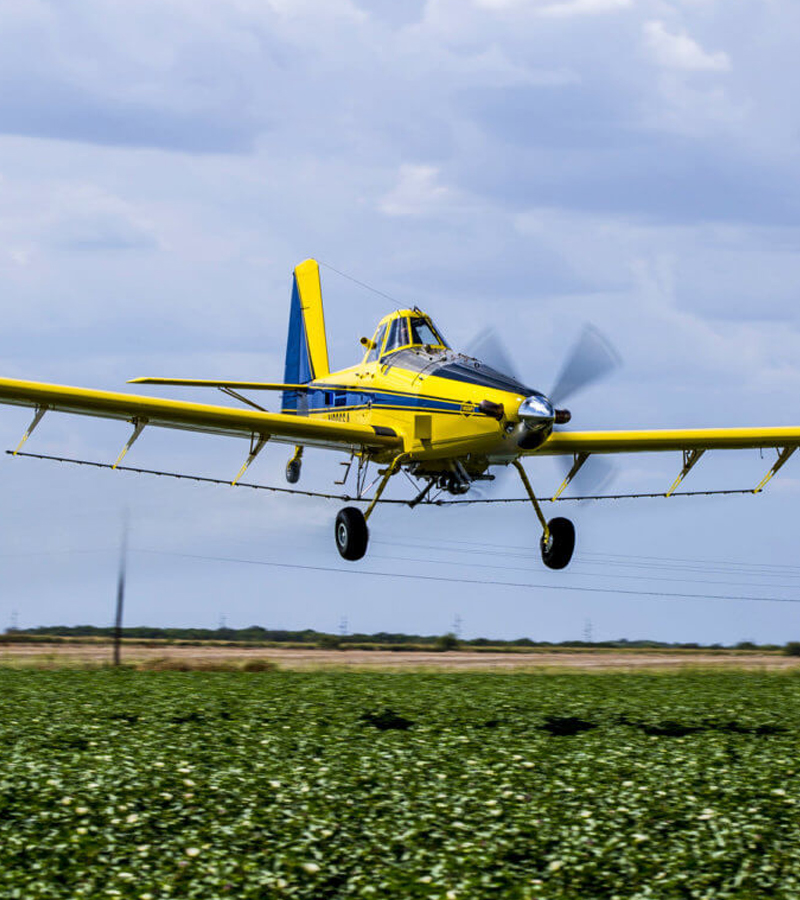 agro_destaque_1